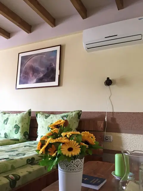 Camera cu floarea-soarelui