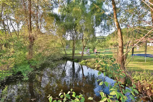 Pensiunea Dor de Vis, Hațeg