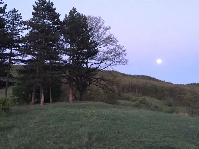 Pensiunea Dor de Vis, Hațeg