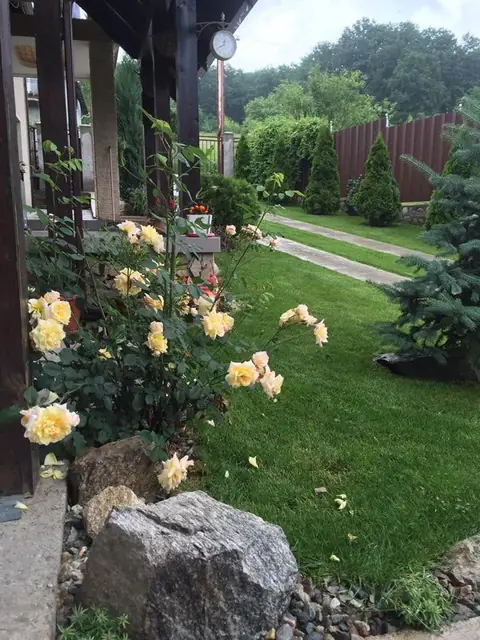 Pensiunea Dor de Vis, Hațeg